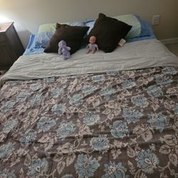 Habitacion Solo DAMAS 