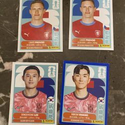 Duplicates Fifa Album 