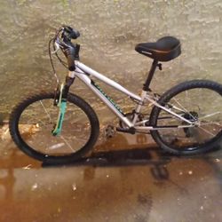 Nishika 24' Pueblo Bike