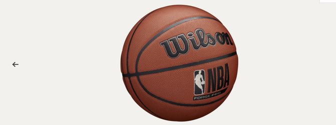 40$ NBA Forged Pro Basketball