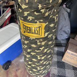 Everlast Punching Bag