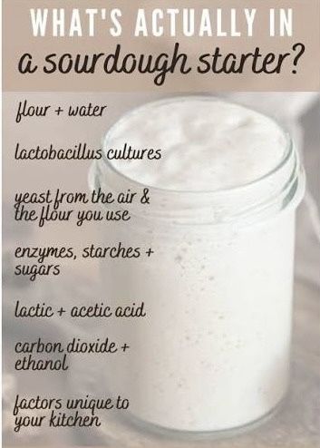 Sourdough Starter 4oz