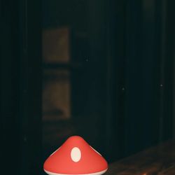 Mushroom Wireless Water Resistant Shower Speaker