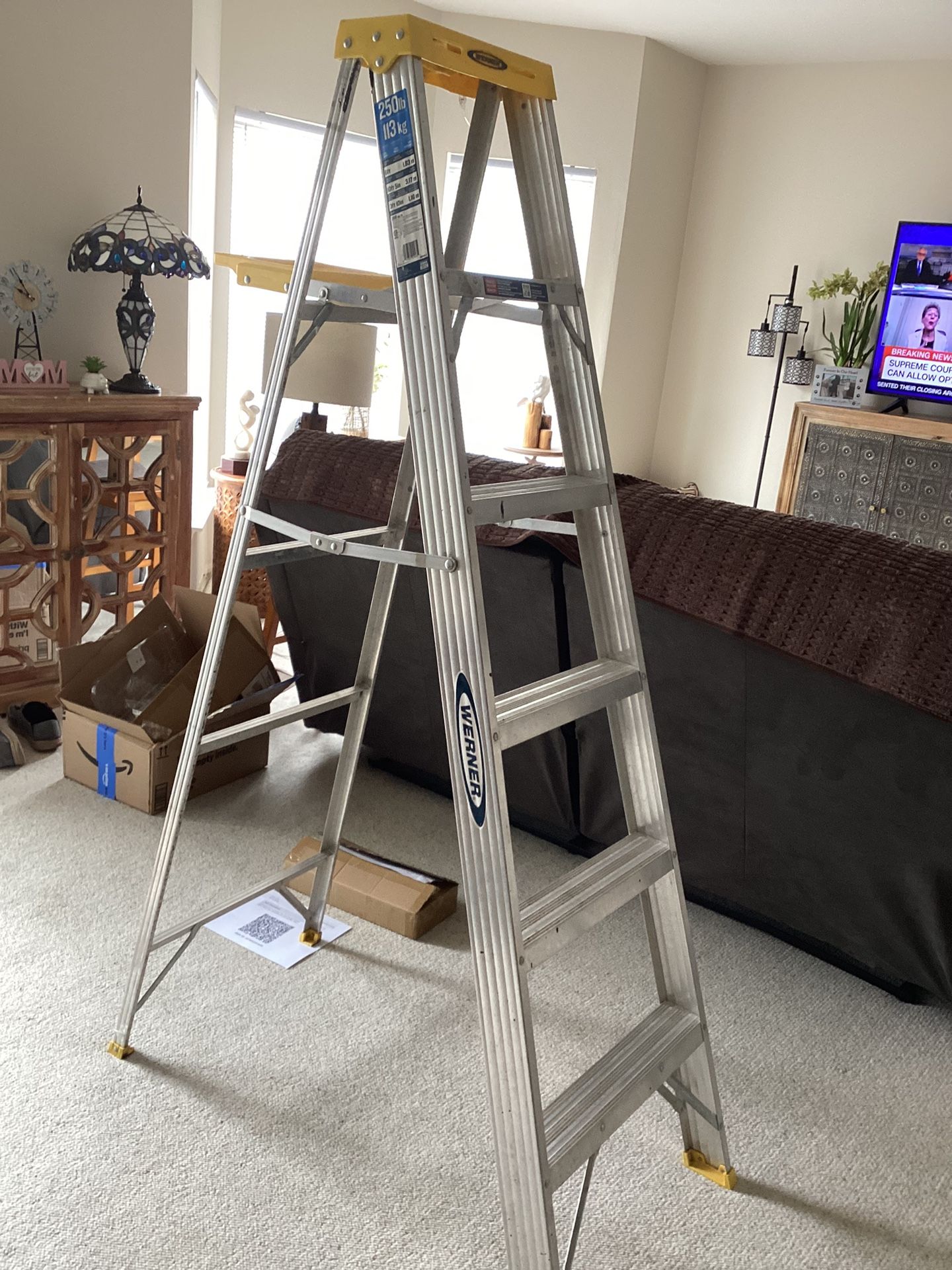 Werner Ladder 6 Ft