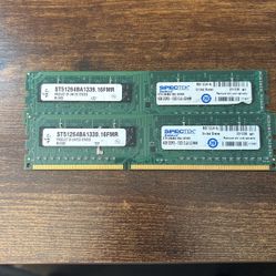 Spectek 4gb Ram Sticks 