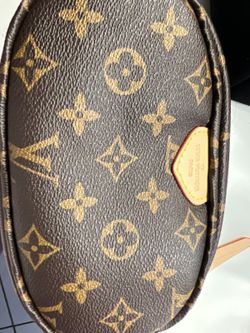 Louis Vuitton Cosmetic Pouch