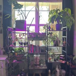 Bookshelf / Plant Stand