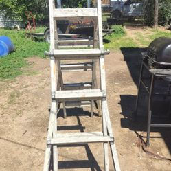 $100 For An Extension Ladder You Can Raise It Up Or Down But It Didn't Your House Or Leave It Like It Is It's In Good Shape And As Is