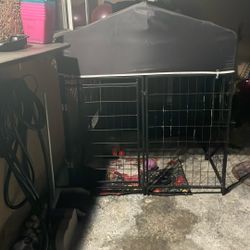 Cain Corso Cage 