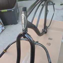 Schwinn 