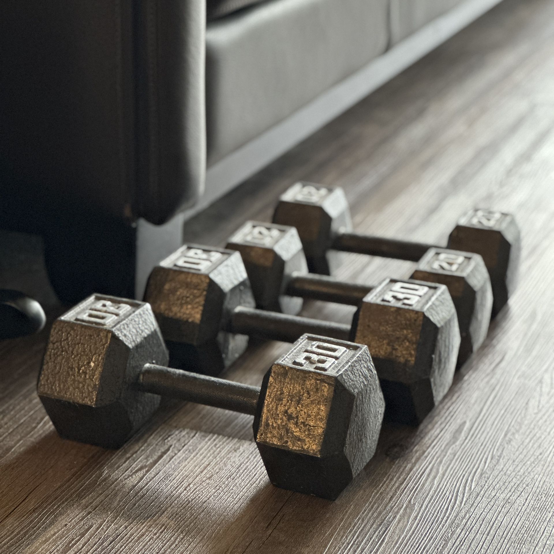 Fitness Gear Cast Hex Dumbbell
