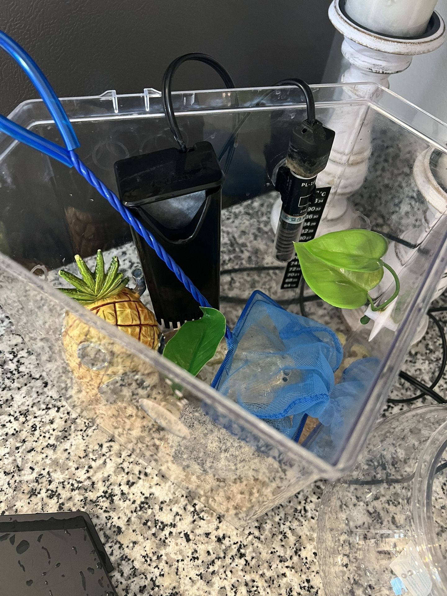 Fish Tank With Net, Extra Bowl, Net And Food