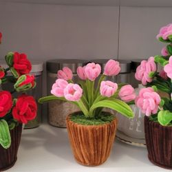 Eternal Little Pot Flower $10 Each One 