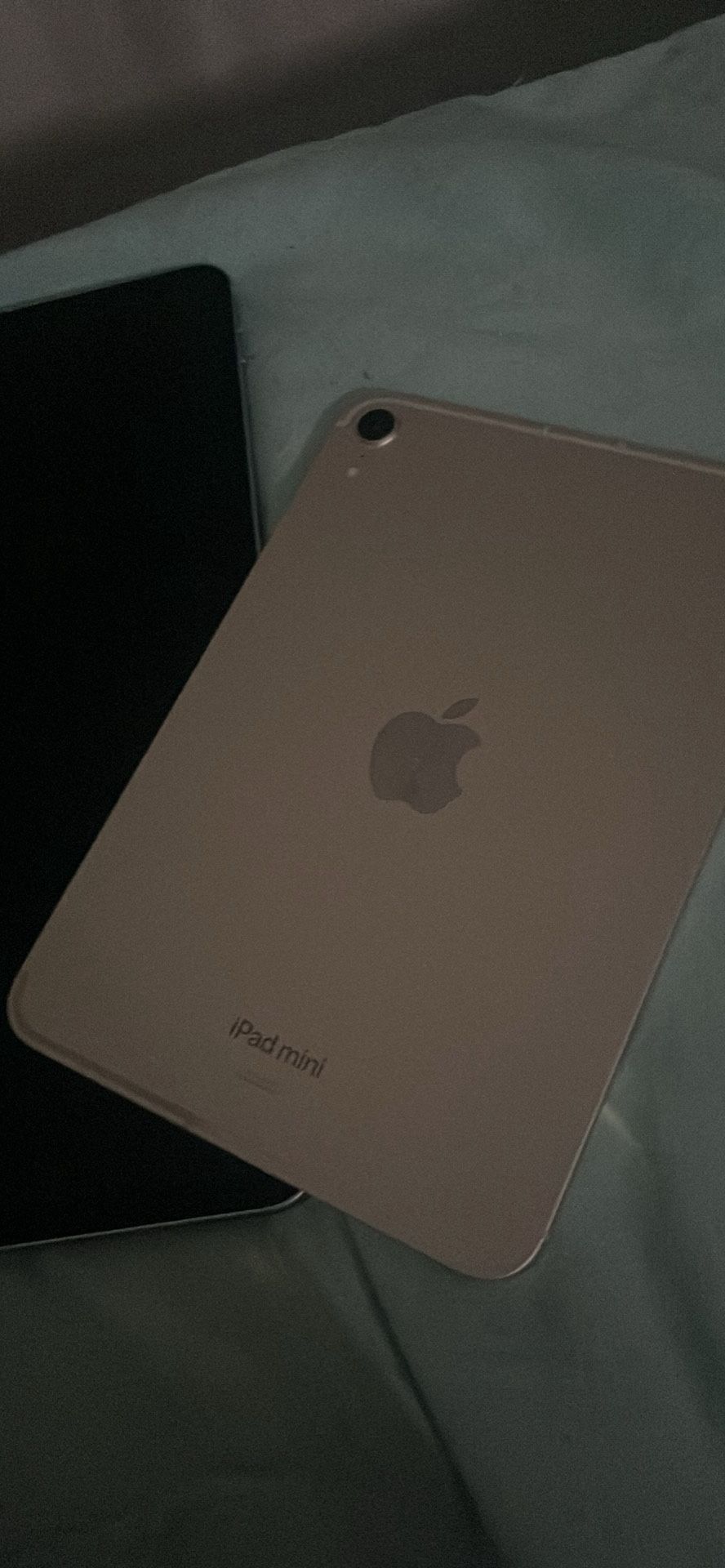 iPad Mini A17 Pro