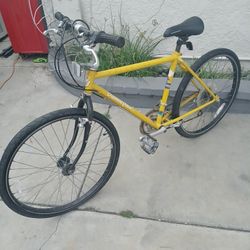 Men's 26" Vintage Diamondback Ascent Ex Bike 