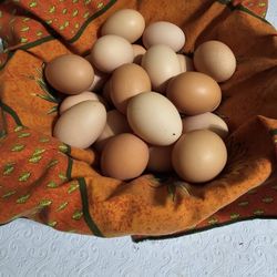 Organic Eggs $8