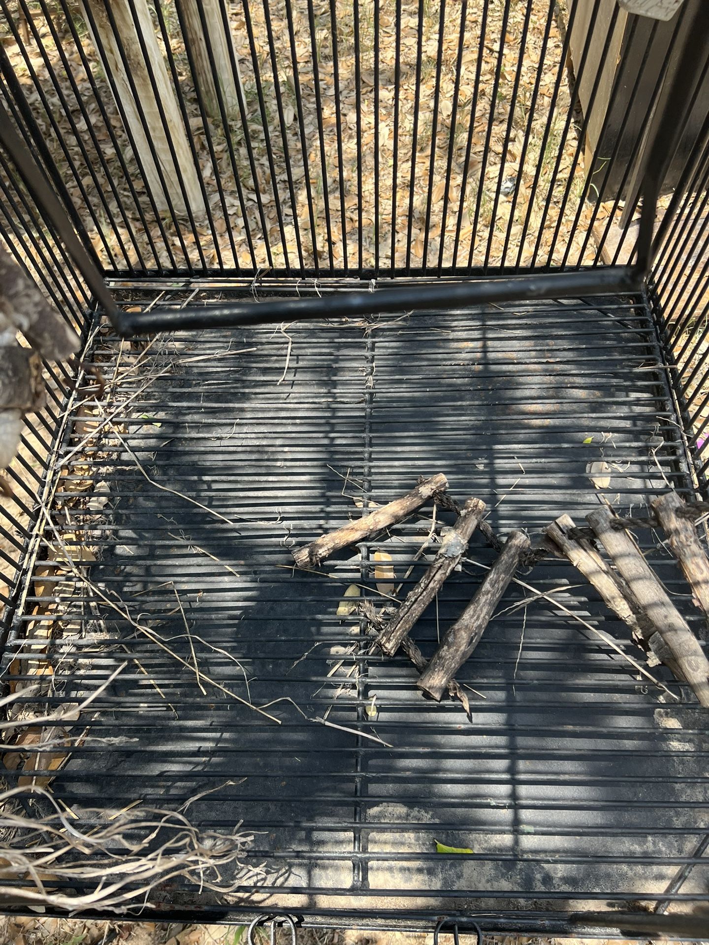 Bird Cage