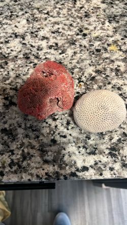 Saltwater aquarium equipment