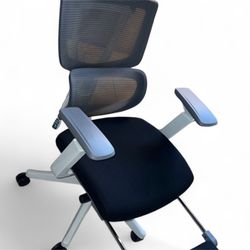 Premium Ergonomic Office Chair