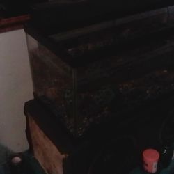 25 Gallon Fish Tank With Lamp Holds Water Very Well