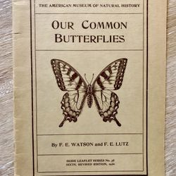 Vintage Butterfly Pamphlet From The American Museum Of natural history, 1940