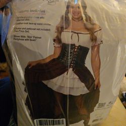 Saloon Gal Costume