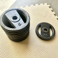 45lbs. Of Standard Weight Plates