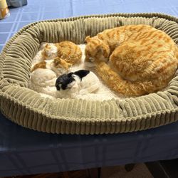 Artificial Fur Cat 