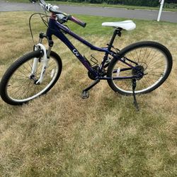 Giant Women’s Bicycle ( small frame)