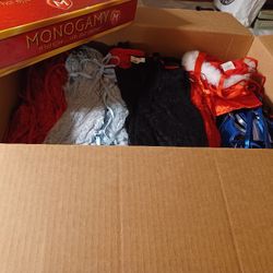 Lingerie-Stripperwear