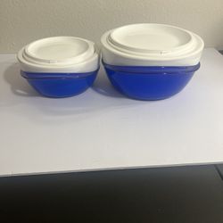 Set Of 2 Pinnacle Tokyo Plast Blue And White Insulated Casserole Dishes W/Lids