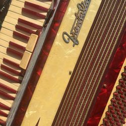 Accordion Frontalinni 120 bass