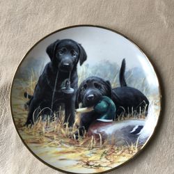 FRANKLIN MINT LIMITED EDITION “Beginners’ Luck” Plate Fine Porcelain 