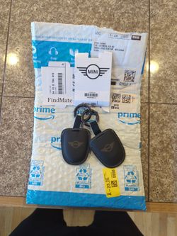 Mini Cooper Remote New Never Used