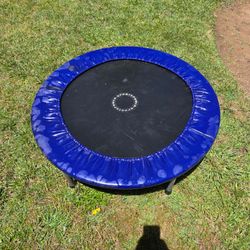 Trampoline!
