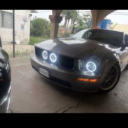 Mustang Halo Headlights