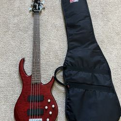 Peavey Fury V 5 String Bass Guitar