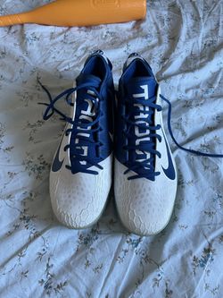 Nike Shoe