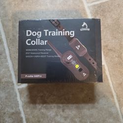 Dog Training Collar