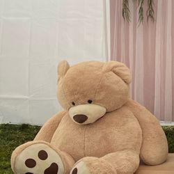 Costco Bear