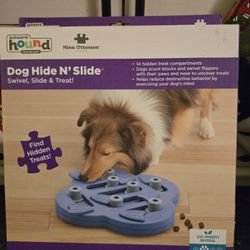Dog Hide N Slide