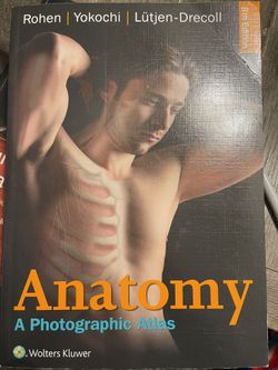 Anatomy Atlas