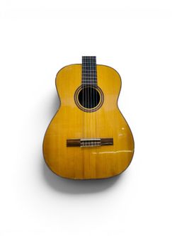Goya G-15 6 string Acoustic guitar