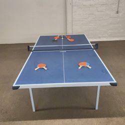 Ping Pong Table