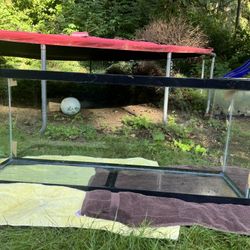 55 Gallon Fish Tank
