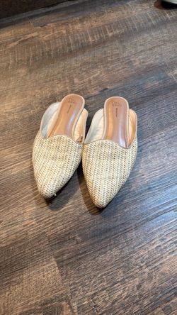 Time and Tru Woven Pointed-Toe Mule Flats