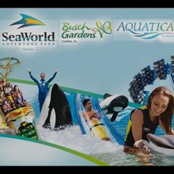 Aquatica Tickets