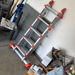 $100 Or Best Offer Extending Ladder