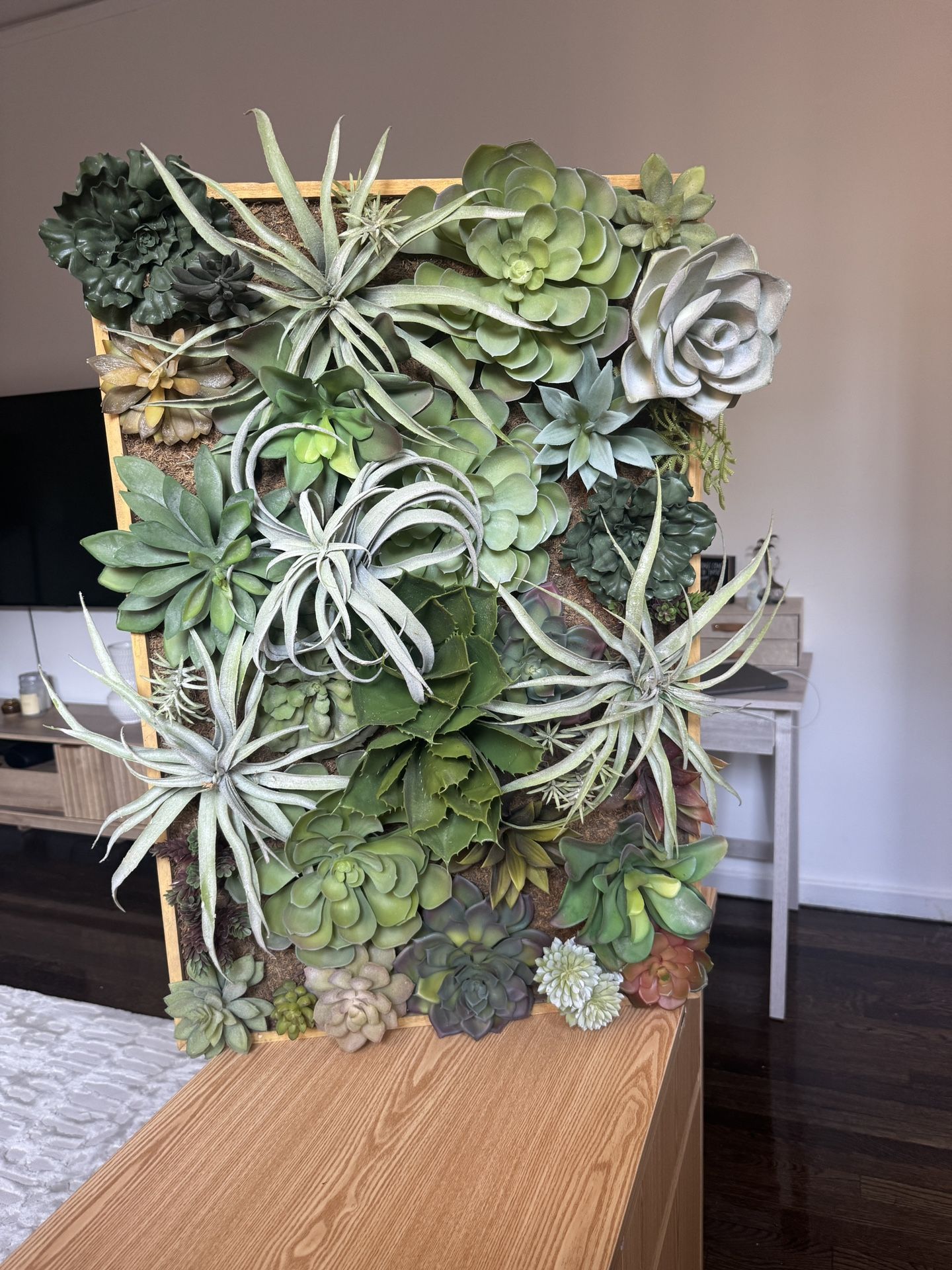 Pottery Barn Faux Succulent Wall