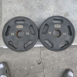 Two Intek 10 Pound Rubber Weights 